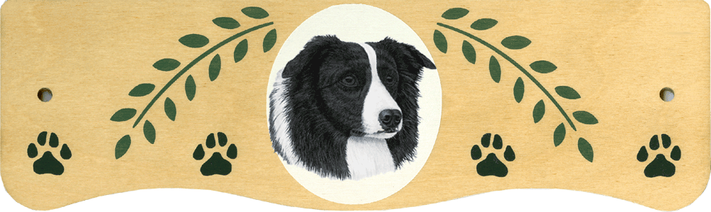 Large Border Collie Top